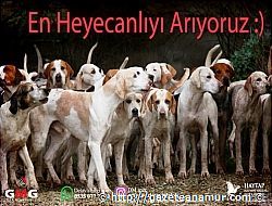60 SANYELK VDEOLAR YARIMASI